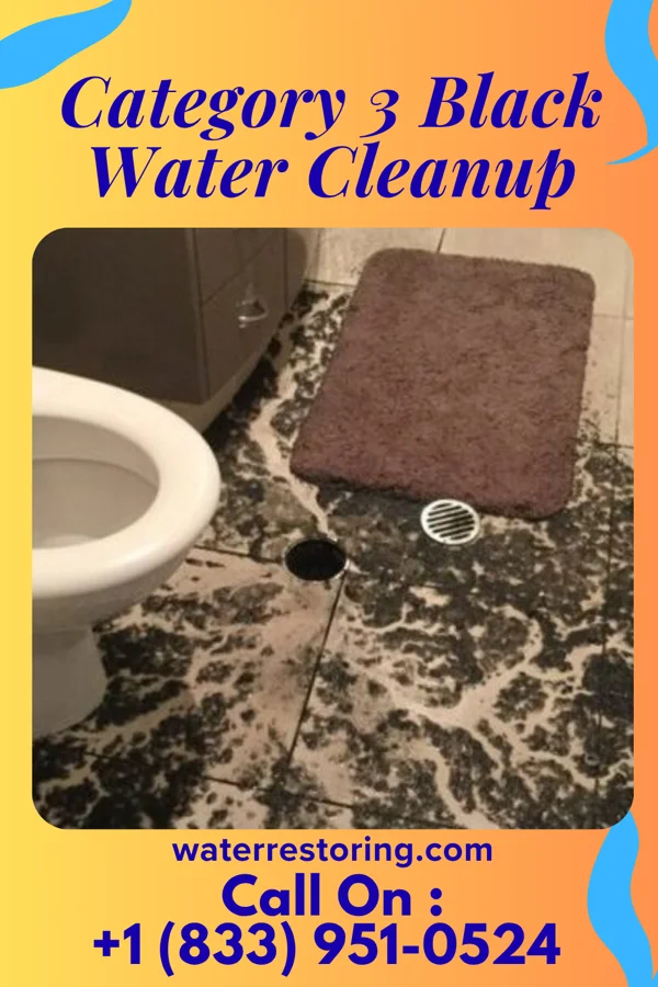 Category 3 Black Water Cleanup in Old Orchard, PA
