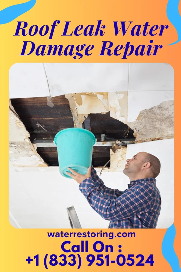 Roof Leak Water Damage Repair in Old Orchard, PA
