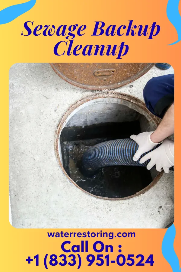 Sewage Backup Cleanup in Old Orchard, PA
