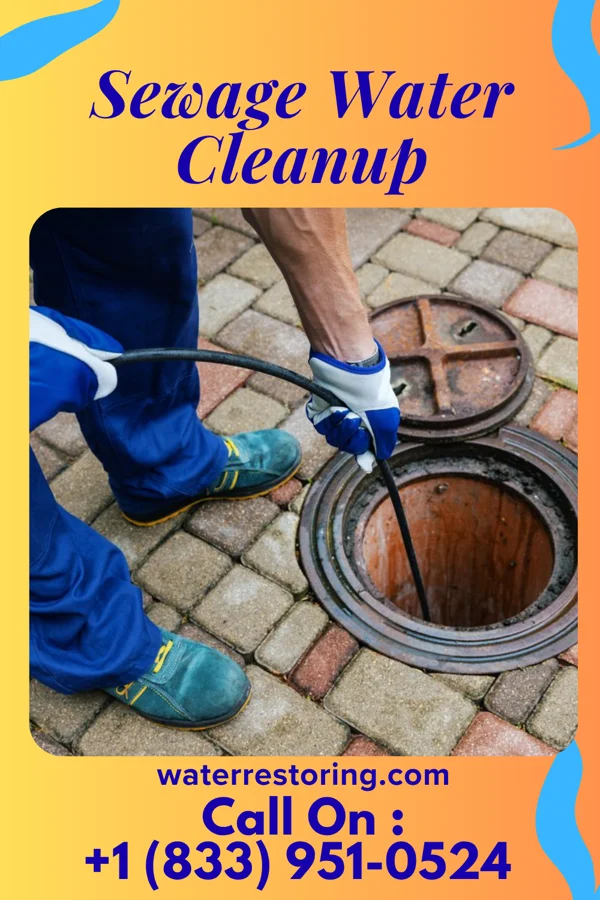 Sewage Water Cleanup in Old Orchard, PA
